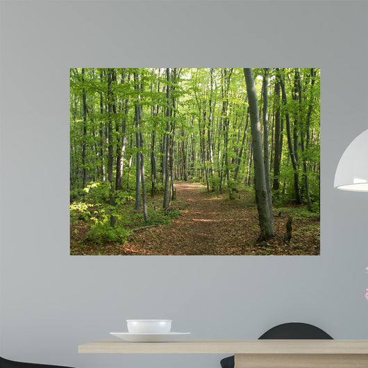 Konica Minolta Digital Camera Wall Decal