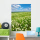 White Chamomiles Wall Decal