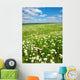 White Chamomiles Wall Decal