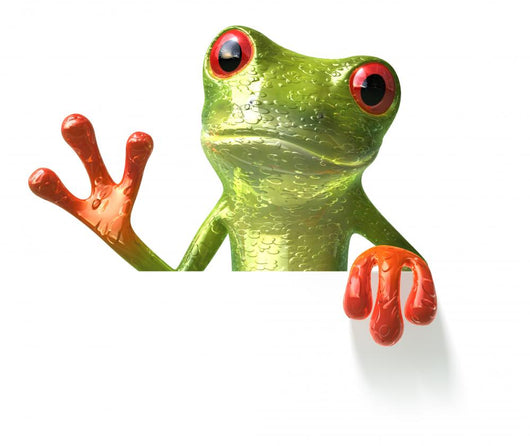 Frog with Message Wall Decal
