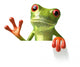 Frog with Message Wall Decal