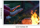 warming hands Wall Mural