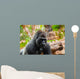 Gorilla Monkey In Park At Tenerife Canary Wall Decal