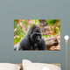 Gorilla monkey in park at Tenerife Canary Wall Mural