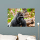 Gorilla monkey in park at Tenerife Canary Wall Mural