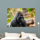 Gorilla monkey in park at Tenerife Canary Wall Mural