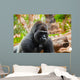 Gorilla monkey in park at Tenerife Canary Wall Mural