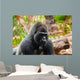 Gorilla monkey in park at Tenerife Canary Wall Mural
