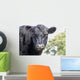 Cow up Profile Aberdeen Wall Decal