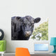 Cow up Profile Aberdeen Wall Decal