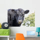 Cow up Profile Aberdeen Wall Decal