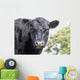 Cow up Profile Aberdeen Wall Decal
