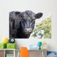 Cow up Profile Aberdeen Wall Decal