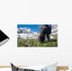man hiking in mountains Wall Mural