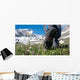 man hiking in mountains Wall Mural