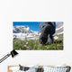 man hiking in mountains Wall Mural
