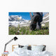 man hiking in mountains Wall Mural