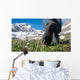 man hiking in mountains Wall Mural