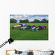 Three women doing push ups in park Wall Mural