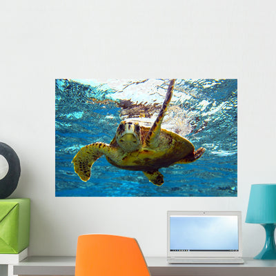 Sea Turtle Wall Decal shown on a wall