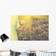 Woman with bunch of dandelion flowers in hand Wall Mural