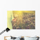 Woman with bunch of dandelion flowers in hand Wall Mural
