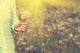 Woman With Bunch Of Dandelion Flowers In Hand Wall Decal