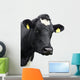 cow! Wall Decal