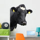 cow! Wall Decal