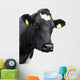 cow! Wall Decal