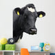 cow! Wall Decal