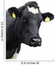 cow! Wall Decal