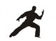 Karate 2 Wall Decal