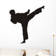Karate Wall Decal