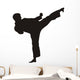 Karate Wall Decal