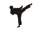 Karate Wall Decal