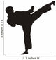 Karate Wall Decal