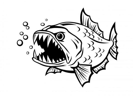 Angry Fish Wall Decal