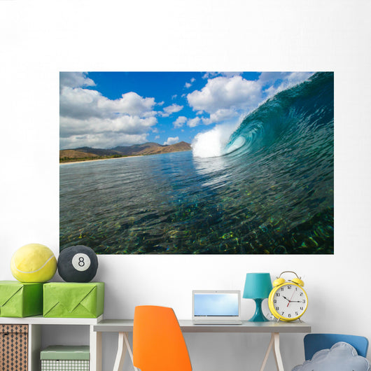 Desert Point Wall Mural