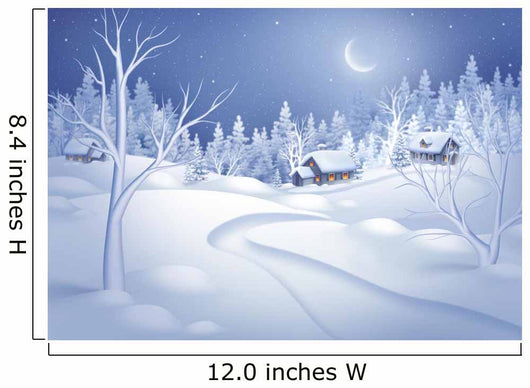 winter night landscape illustration, midnight is small village Wall Mural