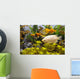 Aquarium Wall Mural