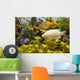 Aquarium Wall Mural