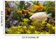 Aquarium Wall Mural