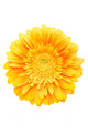 Yellow Flower Wall Decal