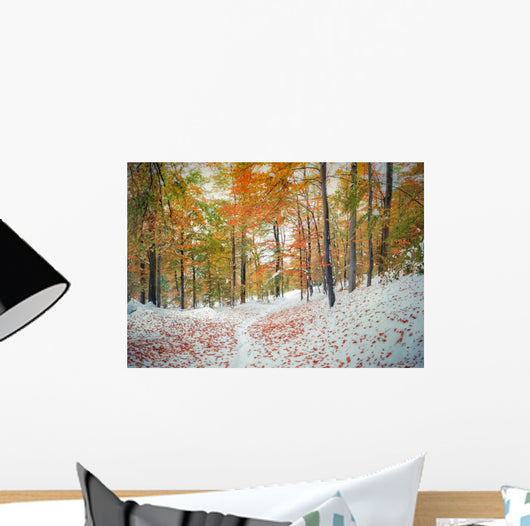 First snow in the mountain forest. Wall Mural