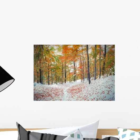 First snow in the mountain forest. Wall Mural