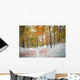 First snow in the mountain forest. Wall Mural