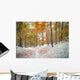 First snow in the mountain forest. Wall Mural