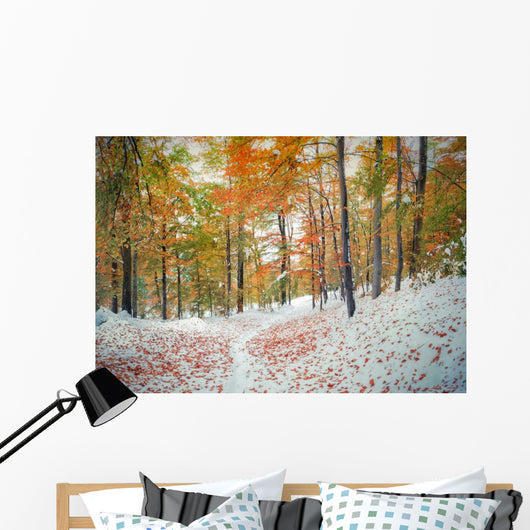 First snow in the mountain forest. Wall Mural