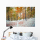 First snow in the mountain forest. Wall Mural